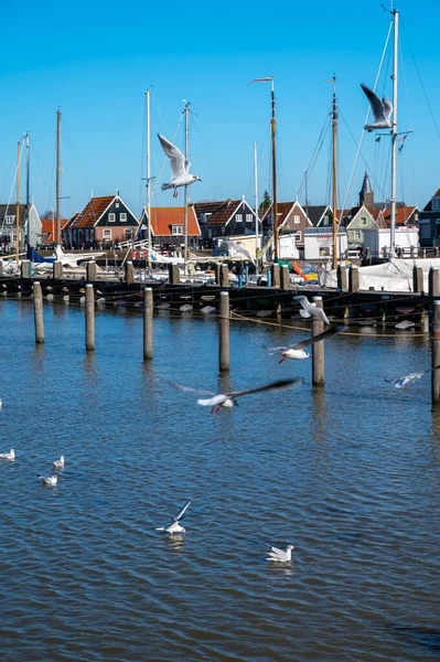 Wandelen Zonnige Lentedag Marken Met Houten Huizen Gelegen Voormalig Eiland — Stockfoto