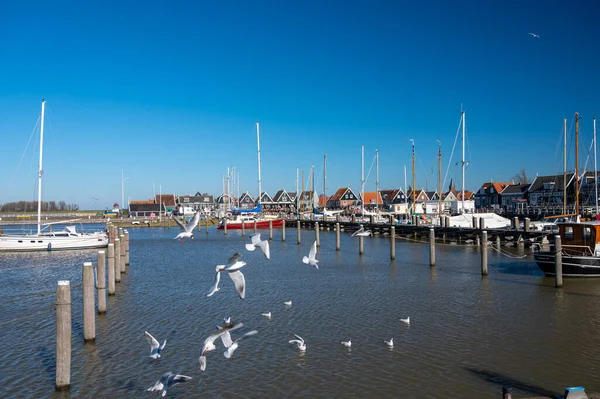 Caminhando Dia Ensolarado Primavera Pequena Cidade Holandesa Marken Com Casas — Fotografia de Stock