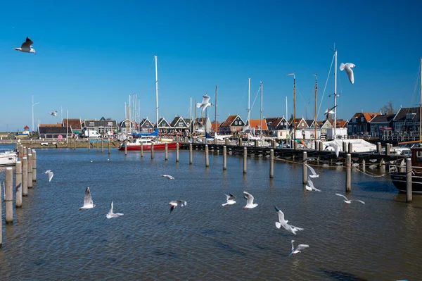 Caminando Soleado Día Primavera Pequeña Ciudad Holandesa Marken Con Casas — Foto de Stock