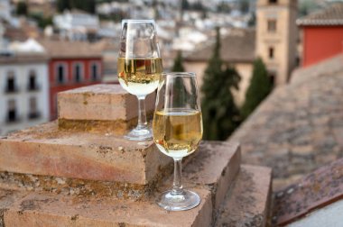İspanya 'nın güneyindeki Endülüs şehrinin çatıları ve evleri manzaralı tatlı ve kuru şarap tatmak.