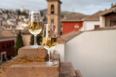 İspanya 'nın güneyindeki Endülüs şehrinin çatıları ve evleri manzaralı tatlı ve kuru şarap tatmak.
