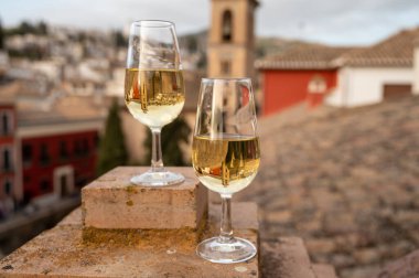 İspanya 'nın güneyindeki Endülüs şehrinin çatıları ve evleri manzaralı tatlı ve kuru şarap tatmak.