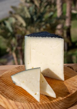 İspanyol sert manchegosu, inek, koyun ve keçi peyniri sabah güneş ışığı altında servis edilir.