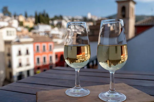 İspanya 'nın güneyindeki Endülüs şehrinin çatıları ve evleri manzaralı tatlı ve kuru şarap tatmak.