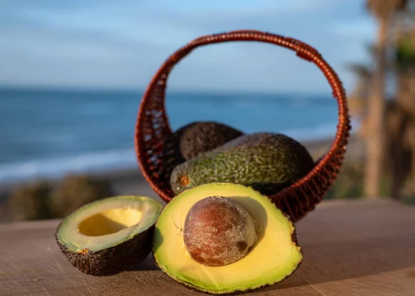 Cultivation of hass avocado fruits in Europe, new harvest of avocado in Malaga region, Andalusia, Spain and beach, palm trees and sea on background