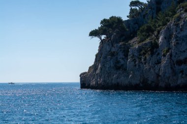 Calanques Ulusal Parkı, Provence, Fransa 'da Akdeniz çam ağaçları beyaz kireçtaşı kayalar ve uçurumlar üzerinde büyüyor