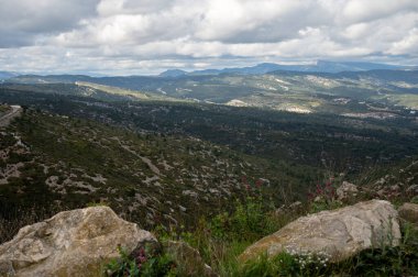 La Ciotat 'tan Cassis' e giden turistik rota D141, kumlu kireçtaşı uçurumları ve yeşil çam ormanları panoramik manzara, Fransa 'nın Provence kentinde tatil
