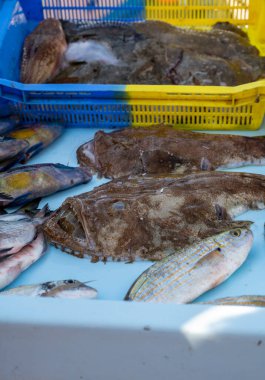 Günün avı, Cassis, Provence, Fransa 'daki küçük eski limandaki balıkçı pazarında günlük taze balık satışı.