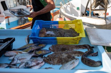 Günün avı, Cassis, Provence, Fransa 'daki küçük eski limandaki balıkçı pazarında günlük taze balık satışı.