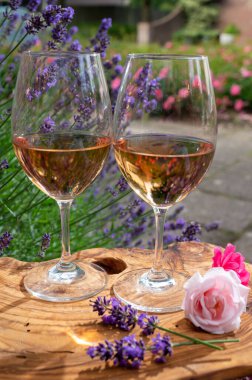 Provence 'den Fransız gülü şarabı, arka planda mor lavanta çiçekli iki kadeh şarap güneşli bir günde açık havada zeytin ağacı tahtasında servis ediliyor.