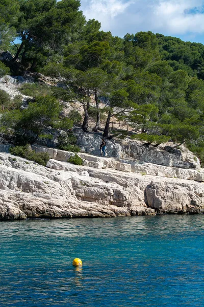 Vista Calanque Port Pin Cerca Cassis Excursión Barco Parque Nacional — Foto de Stock