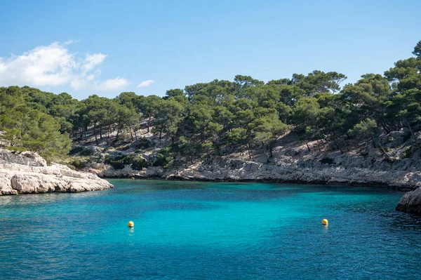 Cassis yakınlarındaki Calanque de Port Pin 'de manzara, Fransa' nın Provence kentindeki Calanques Ulusal Parkı 'na tekne gezisi