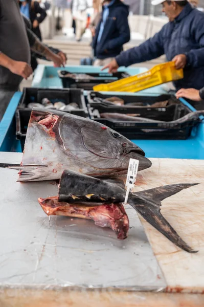 Vangst Van Dag Koop Dagelijkse Vismarkt Oude Haven Van Marseille — Stockfoto