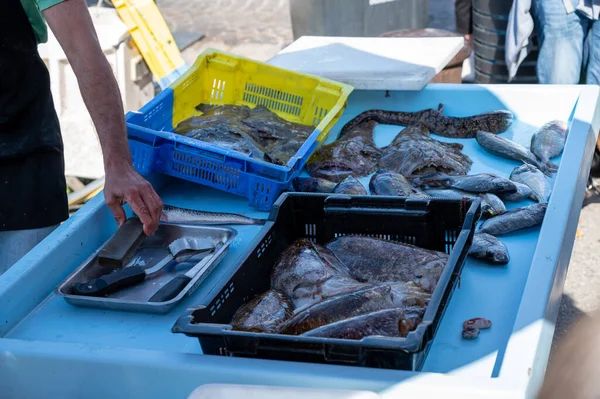 Улов Дня Свежая Рыба Продается Ежедневном Рынке Открытым Небом Небольшом — стоковое фото