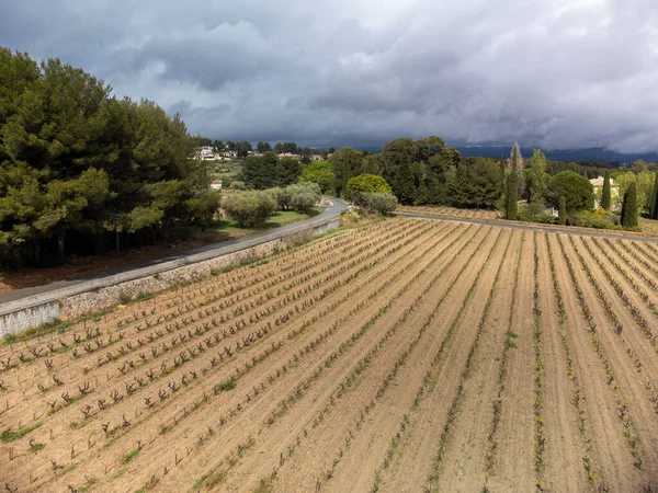 法国南部普罗旺斯Bandol葡萄酒产区葡萄园中一排排葡萄的空中全景 — 图库照片
