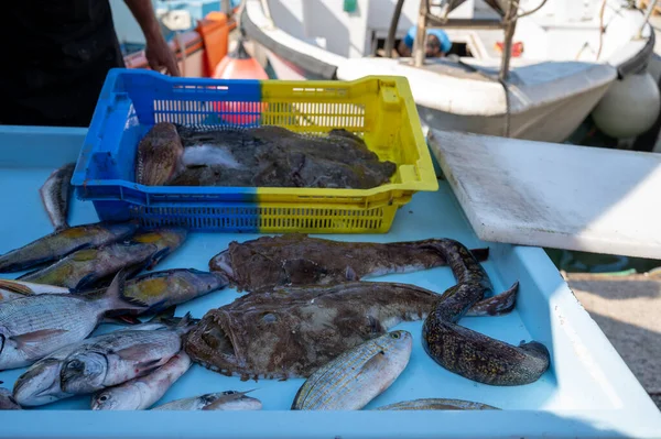 Günün avı, Cassis, Provence, Fransa 'daki küçük eski limandaki balıkçı pazarında günlük taze balık satışı.