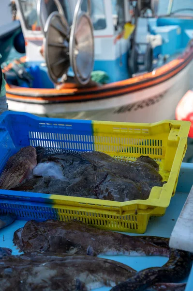 Połów Dnia Świeże Ryby Sprzedaż Targu Rybnym Małym Starym Porcie — Zdjęcie stockowe