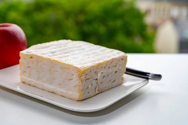 French squared pont l\'eveque cow cheese from Calvados department served with apple and view on green trees and old houses of Etretat, Normandy, France