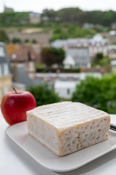 French squared pont l\'eveque cow cheese from Calvados department served with apple and view on green trees and old houses of Etretat, Normandy, France