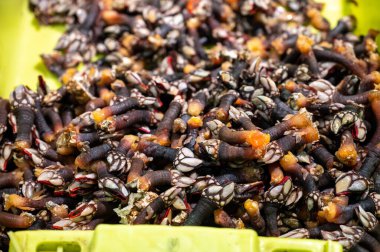 İspanya 'da balık pazarında taze balık, deniz kabuğu ve yumuşakçalardan oluşan çeşitli taze günlük avlar.