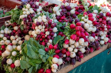 Fransız çiftçi pazarında satılık taze organik turp sebzeleri.
