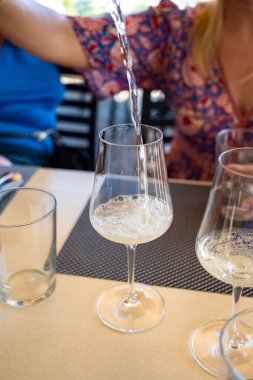 İspanyol Bask Ülkesi 'nde üretilen txakoli ya da chacol hafif köpüklü beyaz şarap tatma, Biscay Körfezi, Atlantik Okyanusu manzaralı açık havada servis edilir.