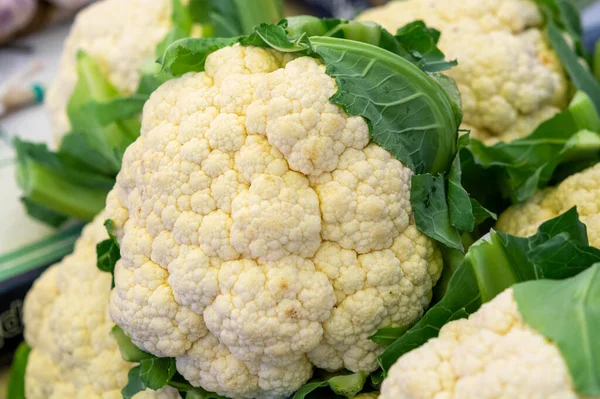 Big White Organic Cauliflower Cabbage Market Close — Stock Photo, Image