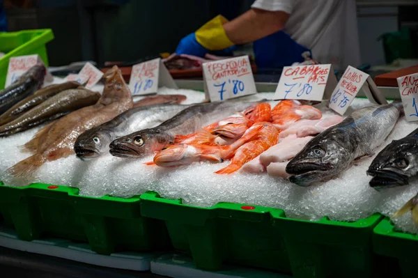Assortiment Van Verse Dagelijkse Vangsten Van Vis Schelpen Weekdieren Ijs — Stockfoto