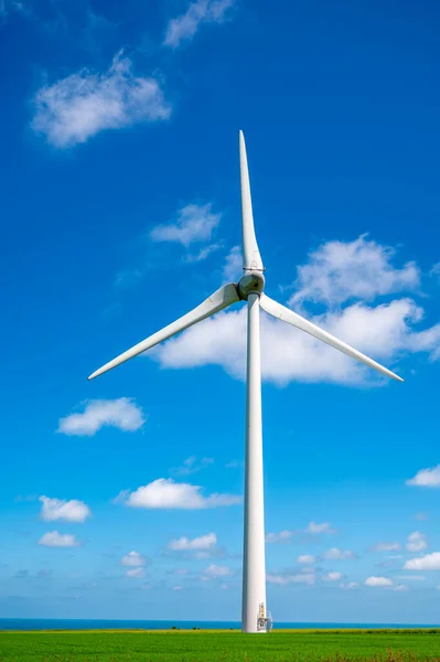 Vista Sui Moderni Mulini Vento Campi Grano Verde Blu Oceano — Foto Stock