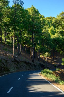 2021 'de güneşli bir günde Cumbre vieja volkanı patlamasından önce La Palma adasında en yüksek dağ olan Roque de los muchachos' a gitmek, İspanya 'nın Kanarya Adaları.