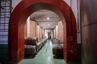 Geleneksel şarap dükkanlarında şarap yapmak çelik tanklarda ve La Palma volkanik adasının güney kısmında eski ahşap fıçılar, Kanarya adaları, İspanya