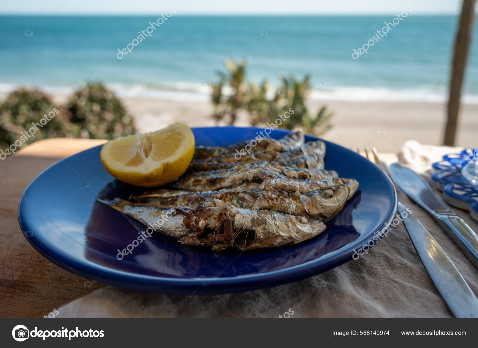 Sardine Espeto in Malaga