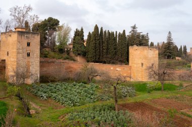 Baharda Granada, Endülüs, İspanya 'daki ortaçağ kalesi Alhambra' da yeşil soğanlı ve geniş fasulyeli sebze bahçelerine bakın.