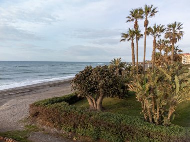 Nisanda Costa del Sol, Endülüs, İspanya 'da Torrox Costa' nın palmiye ağaçlarıyla dolu plajlar. Kış boyunca İspanya.