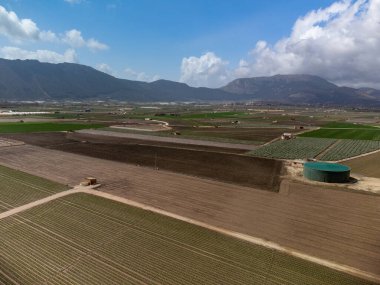 Yeşil salatalı tarlalar. Zafarraya kasabası yakınlarındaki tarım vadisinde hava manzarası sebze, yeşil marul salatası, lahana, enginar, Endülüs, İspanya