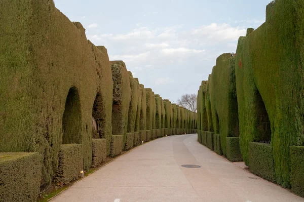 Mediterranean garden design with arches made from trimmed thuja coniferus trees