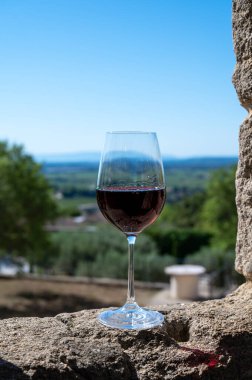 Fransa 'nın Beaujolais bölgesinin güneyinde sarı taştan evler ve şarap temyiz bölgesi olan Pierres Dores bölgesindeki eski üreticinin kırmızı şarabının tadına bakılıyor.