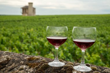 Mağaraları ziyaret edin ve Burgundy 'de şarap üreten ve arka planda şatosu olan bir bölge olan Burgundy' deki büyük ve büyük cru üzüm bağlarında cam şarap tadında kırmızı Pinot şarabı tatın.