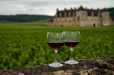 Mağaraları ziyaret edin ve Burgundy 'de şarap üreten ve arka planda şatosu olan bir bölge olan Burgundy' deki büyük ve büyük cru üzüm bağlarında cam şarap tadında kırmızı Pinot şarabı tatın.
