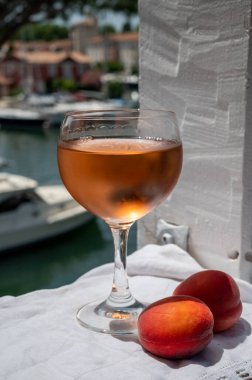 Drinking of cold rose wine from Provence with red apricots and view on yacht harbour of Port Grimaud, summer vacation on French Riviera, France