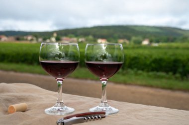 Fransa 'nın Beaujolais bölgesinin güneyinde sarı taştan evler bulunan Pierres Dores bölgesindeki şarap imalatçısının kırmızı şarabını tatmak.