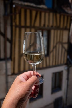 Arka planda eski Fransız evleri, Burgundy, şarap turu olan beyaz büyük cru sınıfı Chablis şarabı tatmak Fransa 'dır.