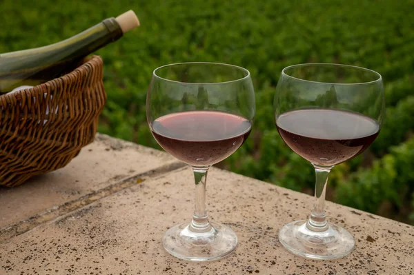 Tasting of red wine by old maker in Pierres Dores region with yellow stone houses on south of Beaujolais region, France, wine appelation region