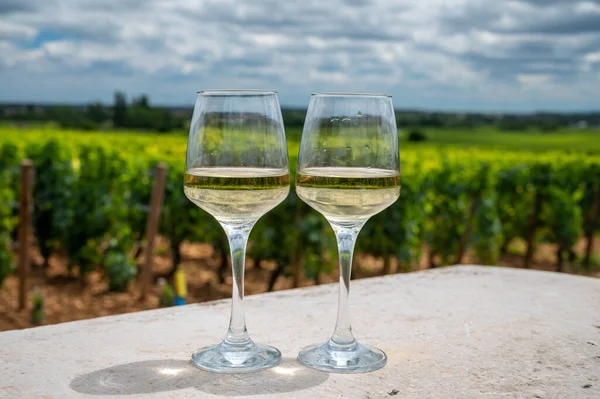 Tasting High Quality White Dry Wine Made Chardonnay Grapes Grand — Stock Photo, Image