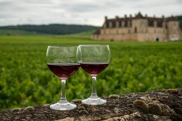 Visit caves and tasting of red dry pinot noir wine in glass on premier and grand cru vineyards in Burgundy wine making region with chateau on background, France