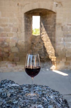 Kırmızı şarap tatma ve ortaçağ Chteauneuf du Pape şatosunun kalıntıları ile şarap turu Fransa 'da eski bir şarap köyü.