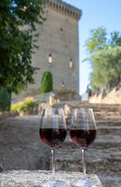 Wine tour with tasting of red dry wine and ruins of medieval castle of Chteauneuf du Pape ancient wine making village in France