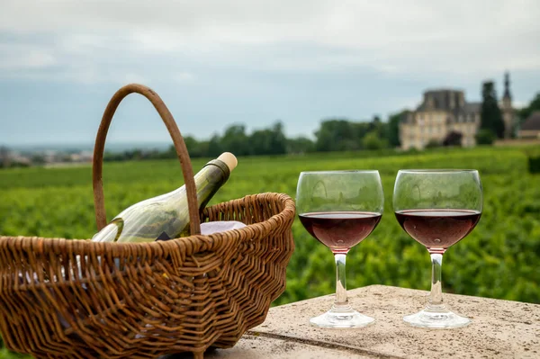 프랑스에서 포도주를 만드는 마을인 파페의 중세성의 폐허와 붉은건 포도주를 맛보는 — 스톡 사진