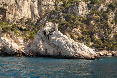Kireçtaşı kayalıkları ve Cassis yakınlarındaki mavi deniz Provence, Fransa 'daki Calanques Ulusal Parkı' na tekne gezisi.