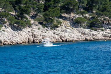 View on Calanque de Port Pin near Cassis, boat excursion to Calanques national park in Provence, France
